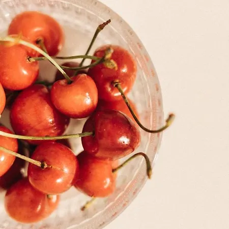 Casa Giulia 4* فيستَ